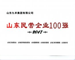 山东民营企业100强 17年度