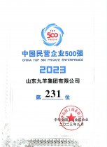 中国民营企业500强第231位 23年度